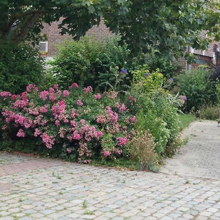 La Petite Maison Sart lez Walhain Bagian luar foto