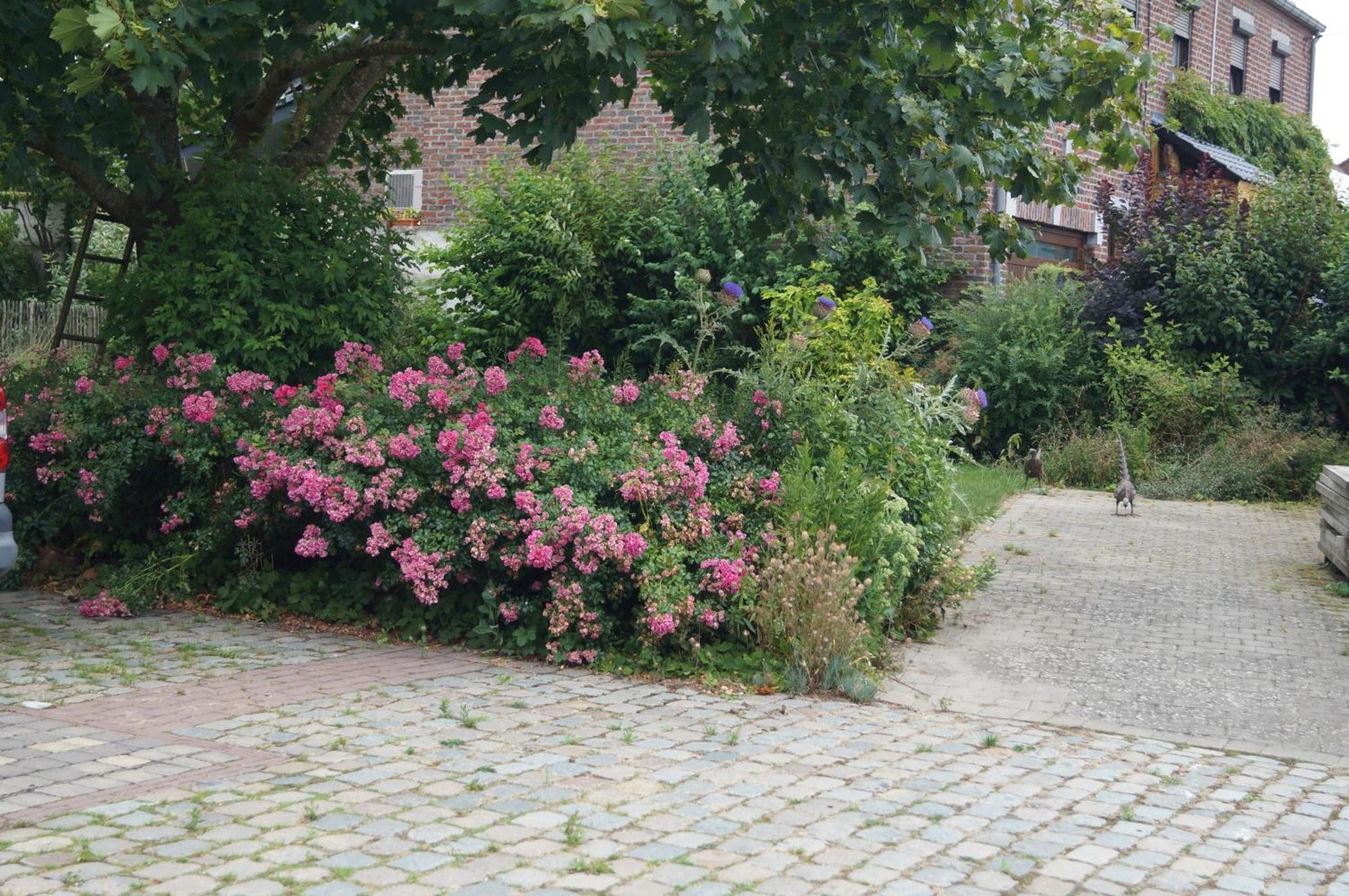 La Petite Maison Sart lez Walhain Bagian luar foto